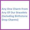 Any Charm (Excluding Birthstone Drop Charm and Italian Link)