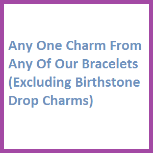 Any Charm (Excluding Birthstone Drop Charm and Italian Link)