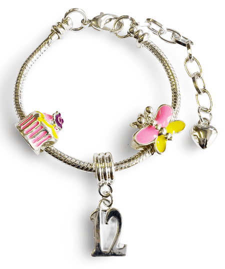Adjustable 'Capricorn' Gemstone Zodiac Wish Bracelet / Friendship Bracelet